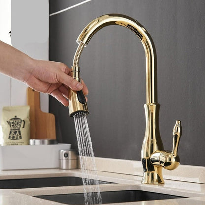 Modern Pull Out Kitchen Mixer Tap with Extendable Spray Head