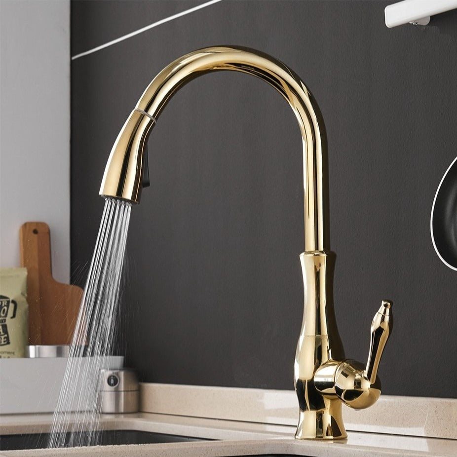 Modern Pull Out Kitchen Mixer Tap with Extendable Spray Head