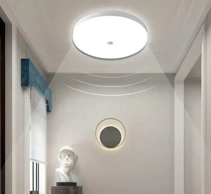 Motion Sensor LED Ceiling Light with Adjustable Colour Temperature