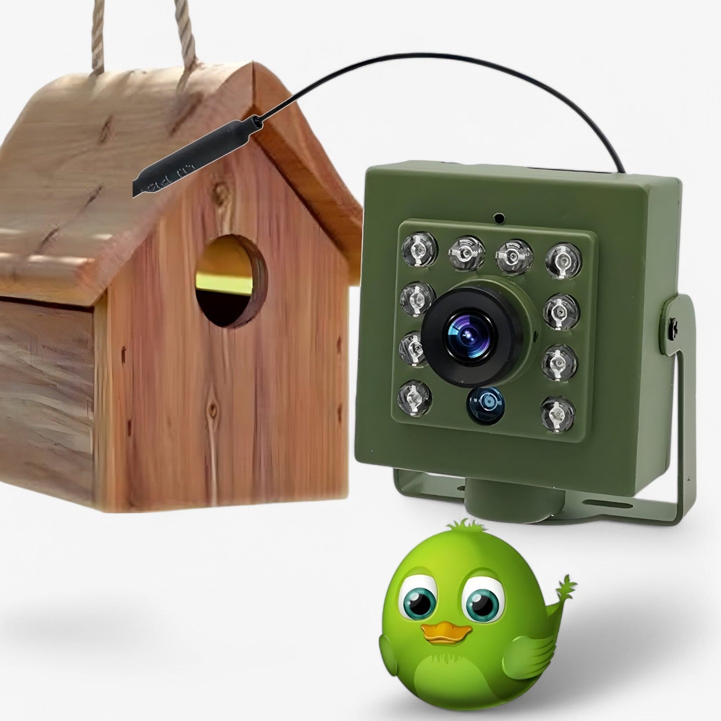 NestCam HD Wi-Fi Bird Nest Camera with Night Vision and Weatherproof Design