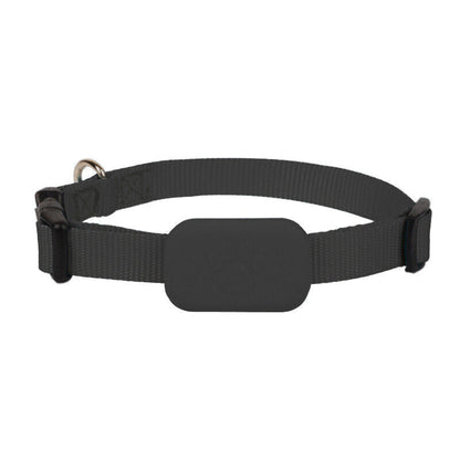Pet GPS Tracker with Real-Time Location and Movement Alerts