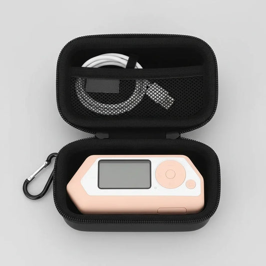 Custodia protettiva da viaggio per SSD portatile