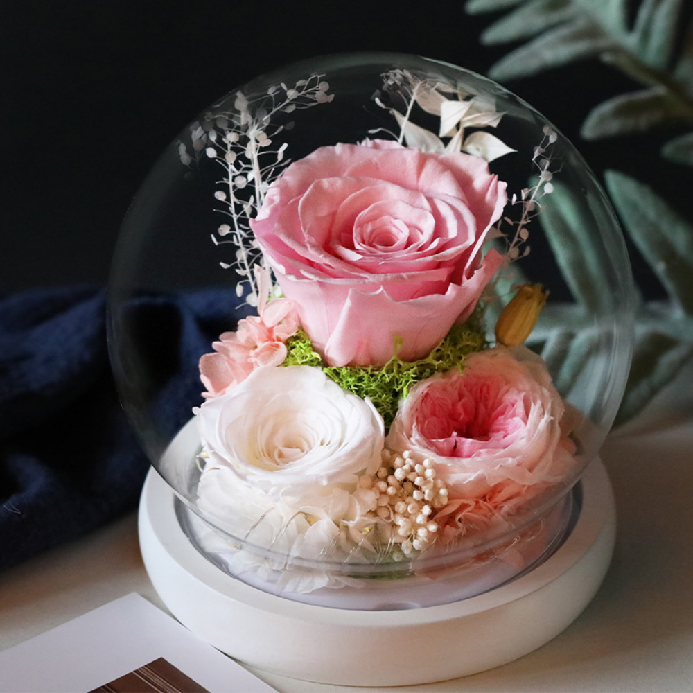 Preserved Rose Flower Dome LED Table Decoration Gift
