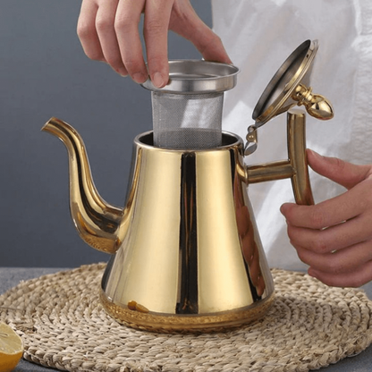 PureBoil Stainless Steel Induction Kettle with Built In Filter