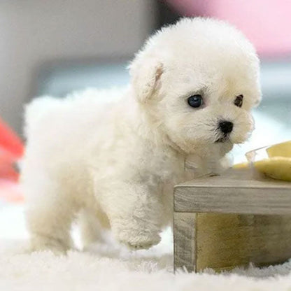 Realistic Weighted Puppy Toy with Soft Synthetic Leather