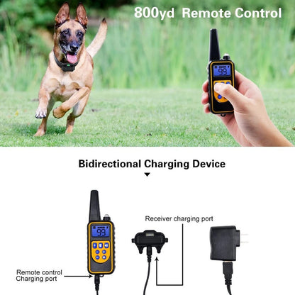 Rechargeable Anti Bark Dog Collar with Remote and Waterproof Design