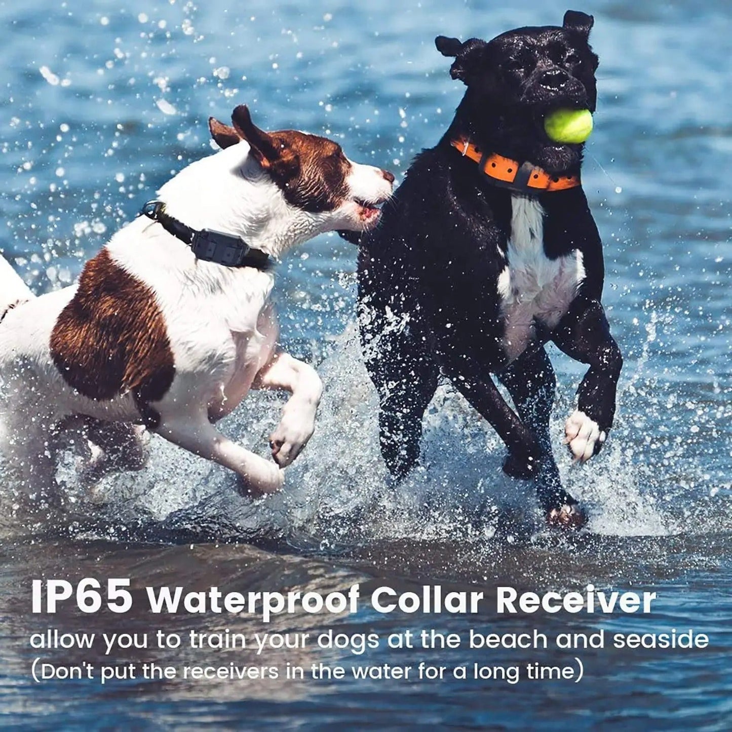 Rechargeable Anti Bark Dog Collar with Remote and Waterproof Design