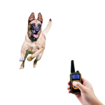 Rechargeable Anti Bark Dog Collar with Remote and Waterproof Design