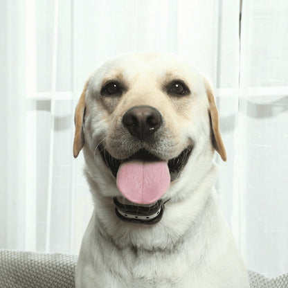 SafeZone Wireless Dog Fence and Training Collar Rechargeable Waterproof