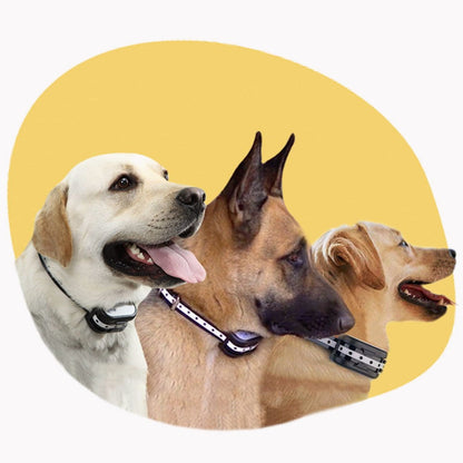 SafeZone Wireless Dog Fence and Training Collar Rechargeable Waterproof