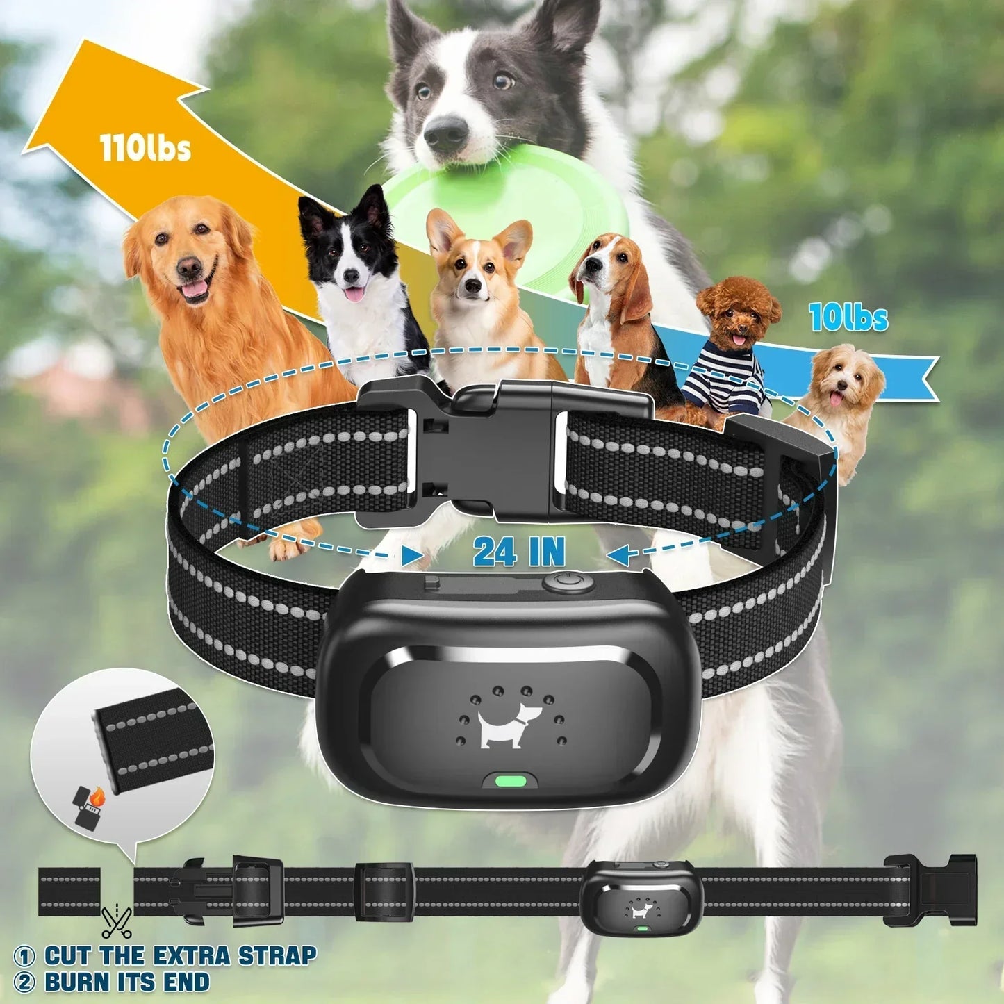 Smart Dog Training Collar with Remote and Safety Lock