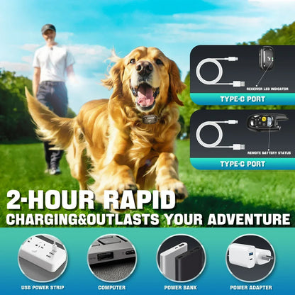 Smart Dog Training Collar with Remote and Safety Lock