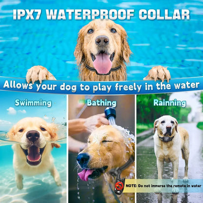 Smart Dog Training Collar with Remote and Safety Lock