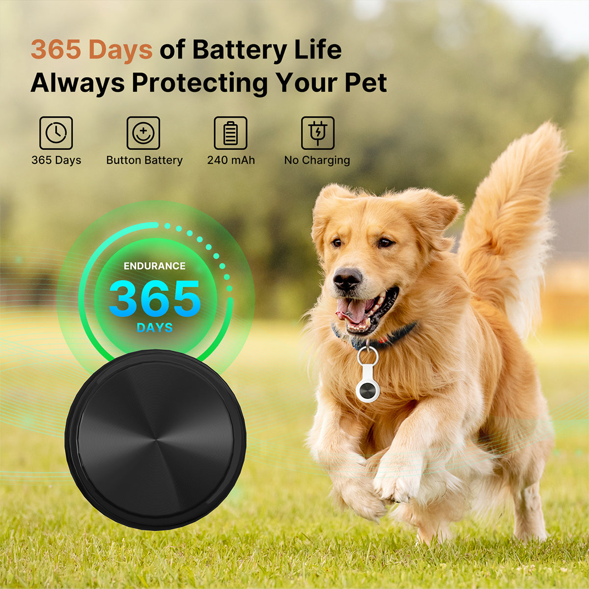 Smart Pet GPS Tracker with IP65 Water Resistance and Long Battery Life