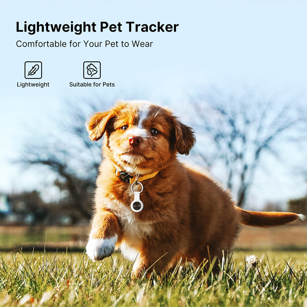 Smart Pet GPS Tracker with IP65 Water Resistance and Long Battery Life