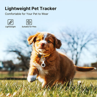 Smart Pet GPS Tracker with IP65 Water Resistance and Long Battery Life