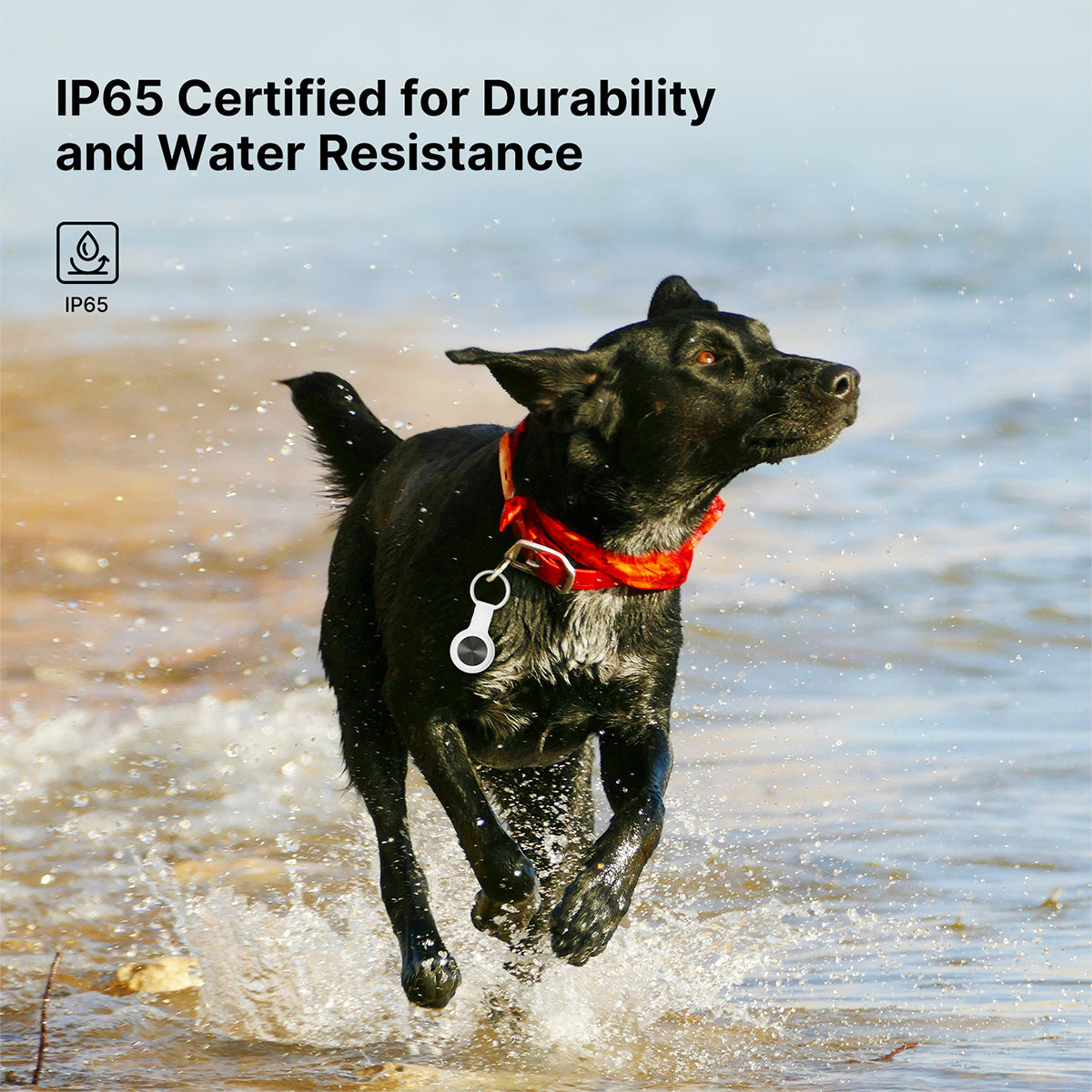 Smart Pet GPS Tracker with IP65 Water Resistance and Long Battery Life