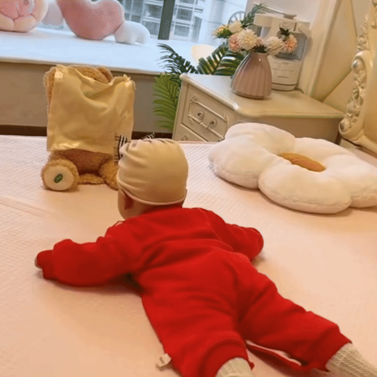 SnuggleBuddy Peek a Boo Bear Interactive Talking Plush Toy for Babies and Toddlers