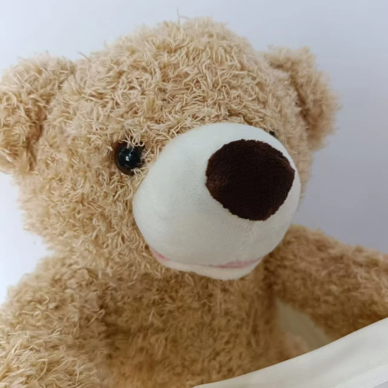 SnuggleBuddy Peek a Boo Bear Interactive Talking Plush Toy for Babies and Toddlers