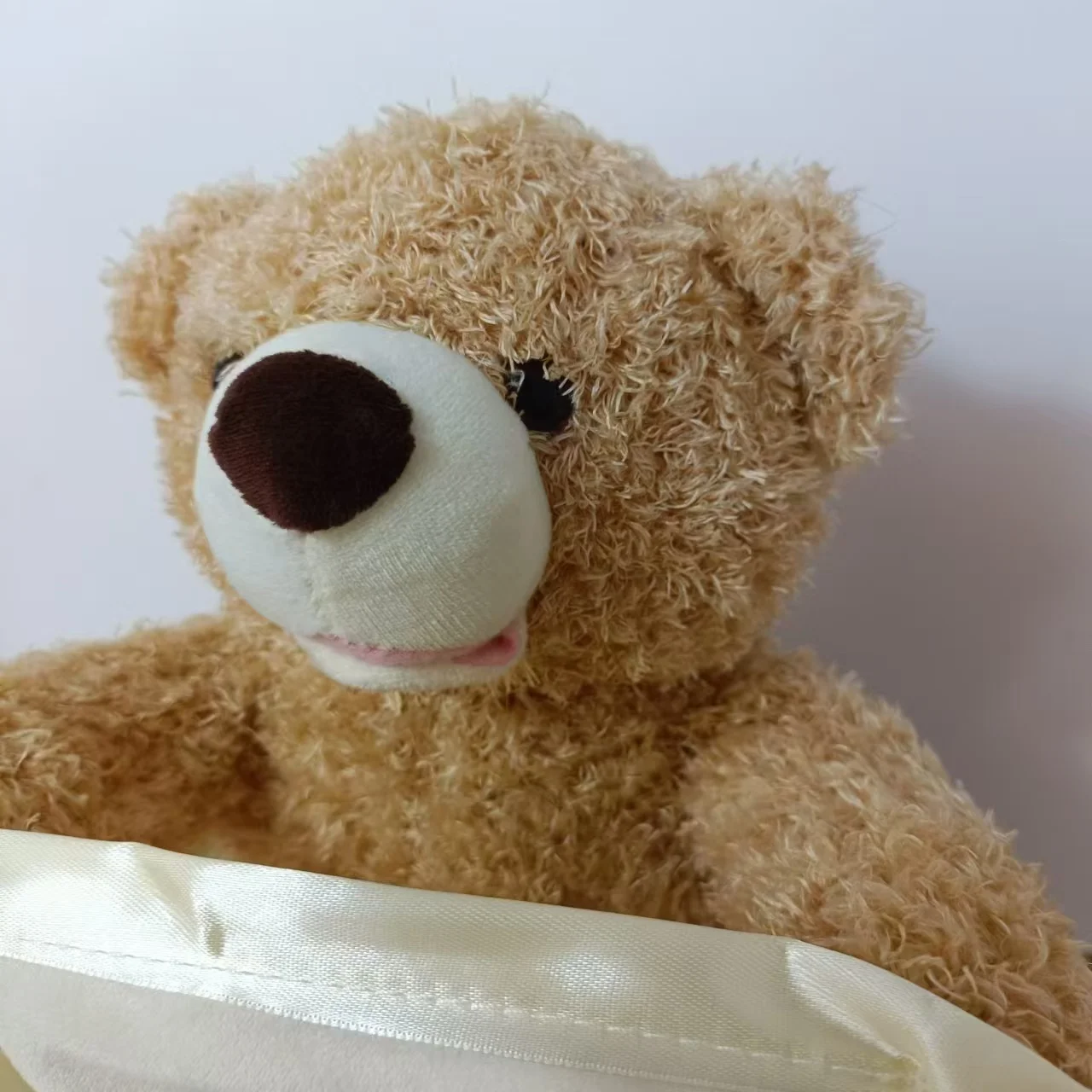 SnuggleBuddy Peek a Boo Bear Interactive Talking Plush Toy for Babies and Toddlers