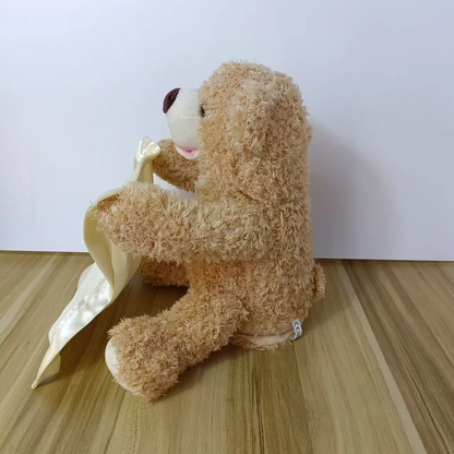 SnuggleBuddy Peek a Boo Bear Interactive Talking Plush Toy for Babies and Toddlers