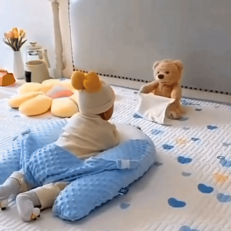 SnuggleBuddy Peek a Boo Bear Interactive Talking Plush Toy for Babies and Toddlers