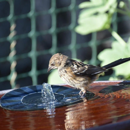 Solar Powered Garden Fountain with 4 Interchangeable Nozzles