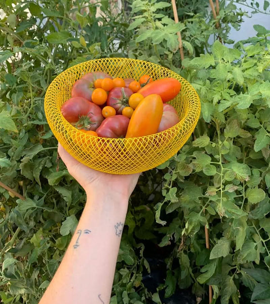 Steel Mesh Fruit Basket with Ventilated Design for Kitchen Storage