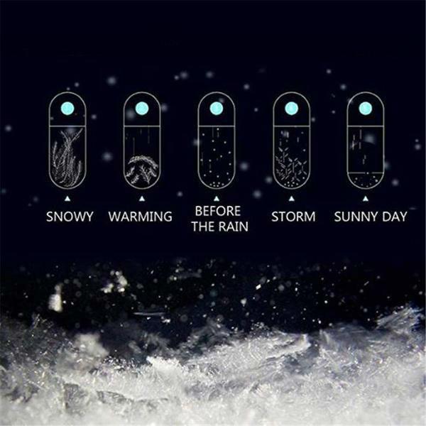 Storm Glass Weather Forecast Bottle with Wooden Base