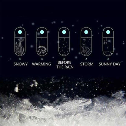 Storm Glass Weather Forecast Bottle with Wooden Base