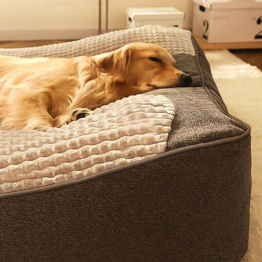 Supportive Dog Bed with Raised Head Pillow