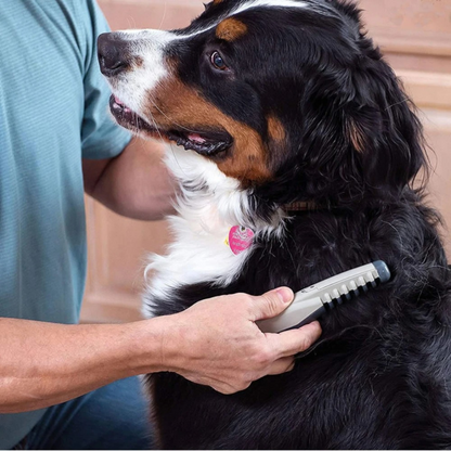 Tangle Free Pet Grooming Brush Gentle Detangler for Dogs and Cats
