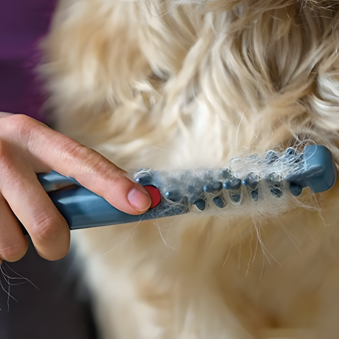 Tangle Free Pet Grooming Brush Gentle Detangler for Dogs and Cats