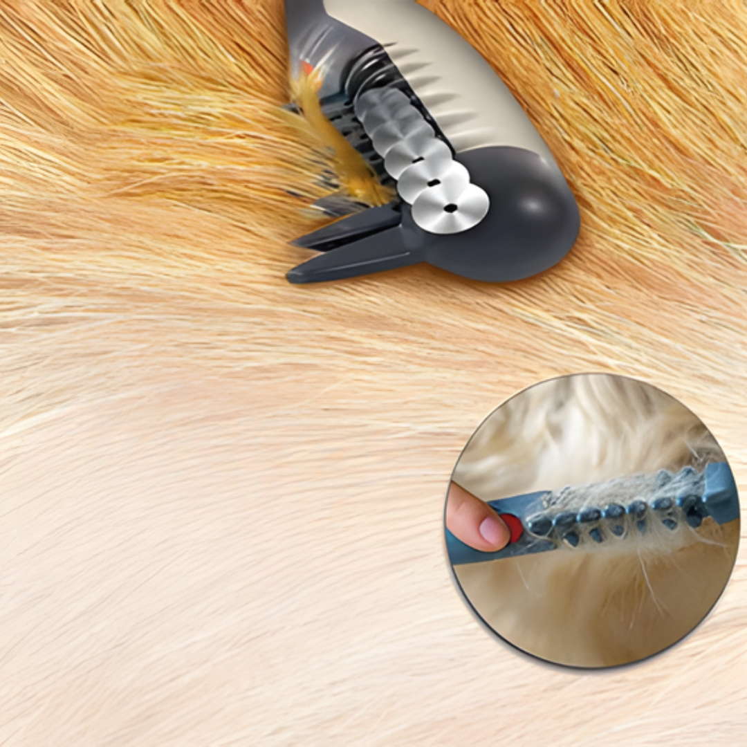 Tangle Free Pet Grooming Brush Gentle Detangler for Dogs and Cats