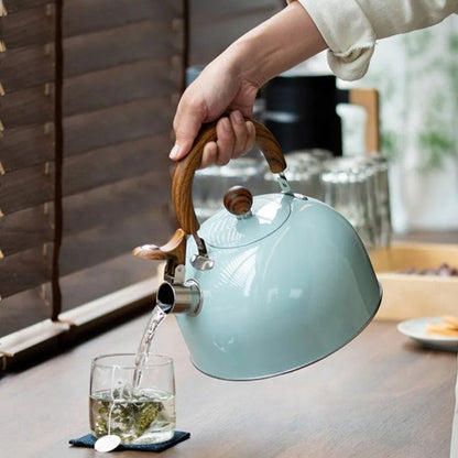 Velvettle Stainless Steel Whistling Kettle with Fast Boil and 3L Capacity