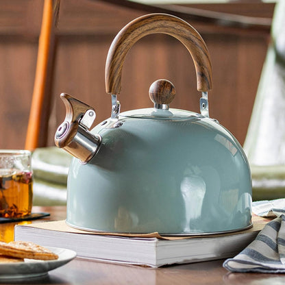 Velvettle Stainless Steel Whistling Kettle with Fast Boil and 3L Capacity