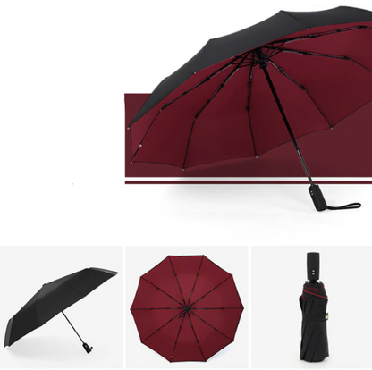 Windproof Storm Umbrella Compact Lightweight Auto Open Travel Umbrella