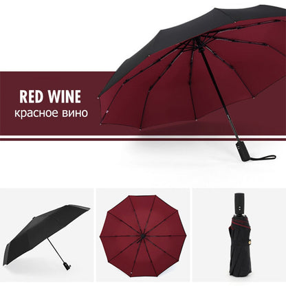 Windproof Storm Umbrella Compact Lightweight Auto Open Travel Umbrella