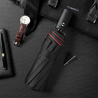 Windproof Storm Umbrella Compact Lightweight Auto Open Travel Umbrella
