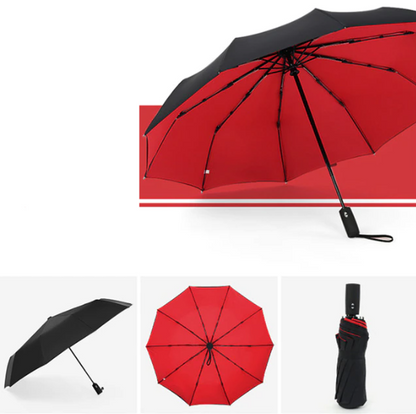 Windproof Storm Umbrella Compact Lightweight Auto Open Travel Umbrella
