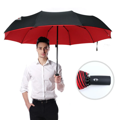 Windproof Storm Umbrella Compact Lightweight Auto Open Travel Umbrella