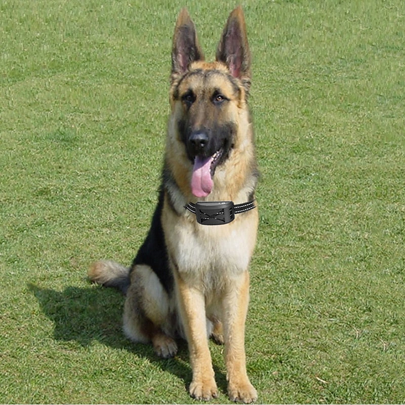 Wireless Dog Fence System with Adjustable Waterproof Training Collar