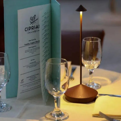 Wireless LED Table Lamp with Rechargeable Battery and Modern Design