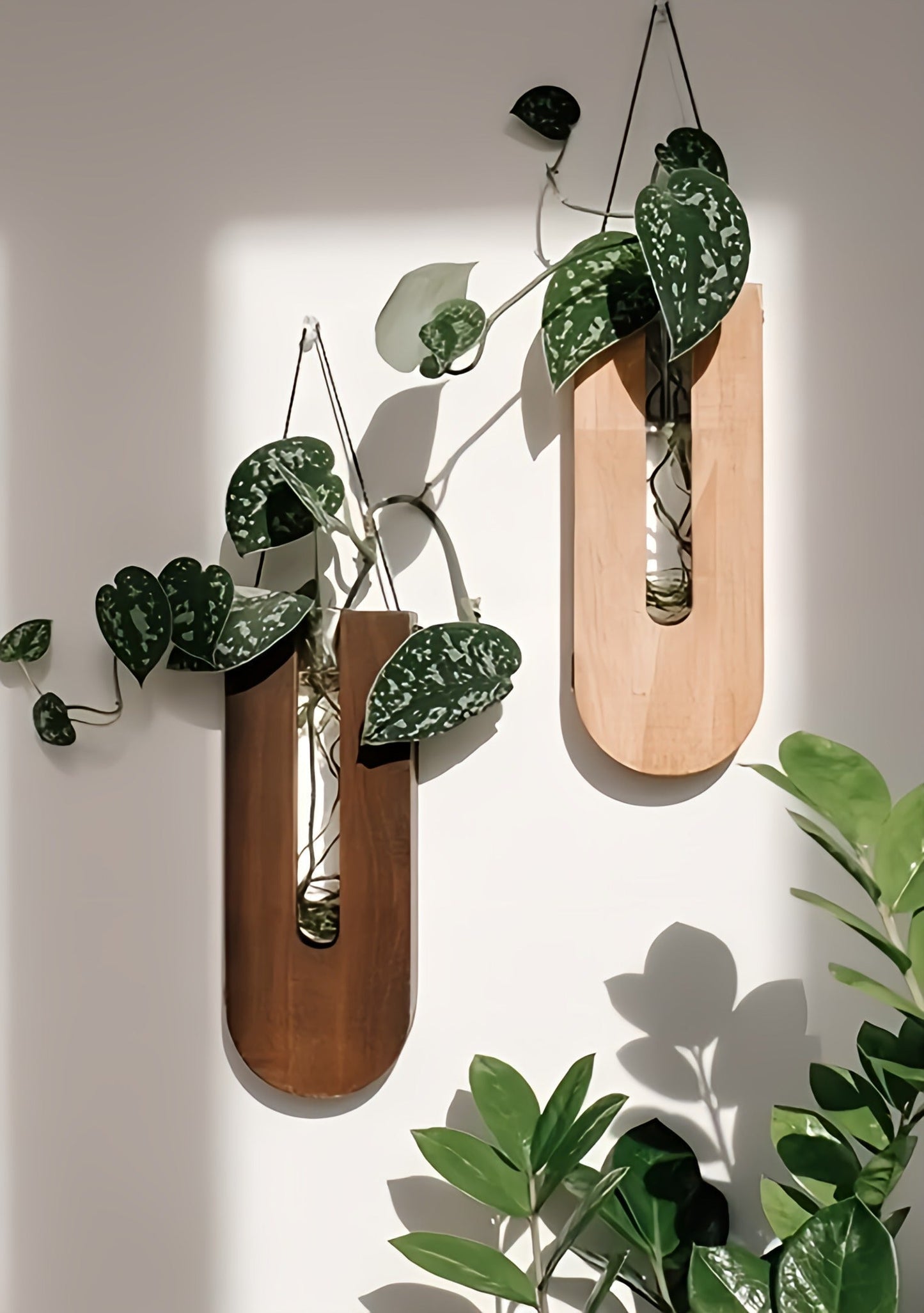 WoodFlora Rustic Wooden Wall Plant Holder Set