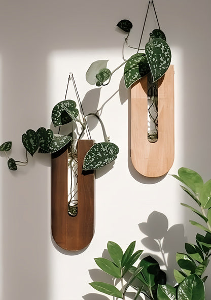 WoodFlora Rustic Wooden Wall Plant Holder Set