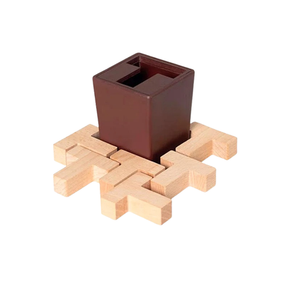 Wooden 3D Logic Puzzle for Brain Training